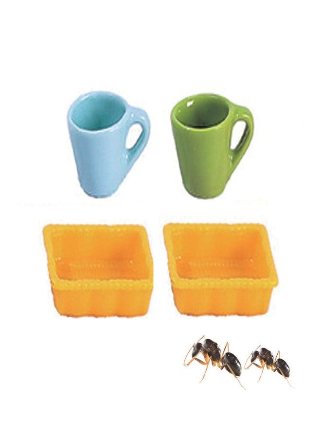KnocKconK Spider Micro Water Bowl, 3 Pack Mini Liquid Feeder Ant Bowl, Ant Farm Water Feeder, Small Insect Water Bottle, Food Bowl Tarantula Mini Dish for Millipede Tiny Bugs Reptiles - Image 1
